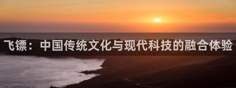 飞镖：中国传统文化与现代科技的融合体验
