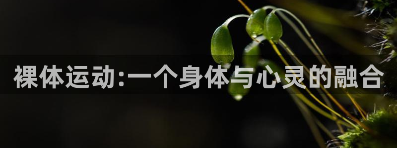 裸体运动:一个身体与心灵的融合