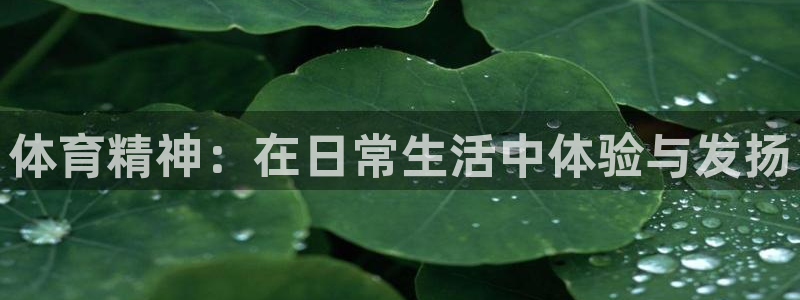 体育精神：在日常生活中体验与发扬