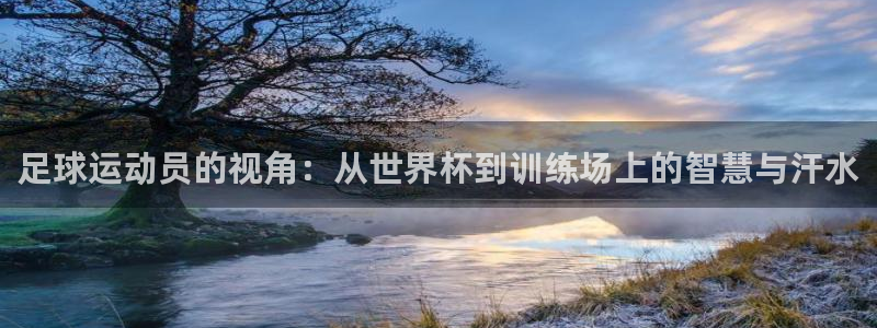 足球运动员的视角：从世界杯到训练场上的智慧与汗水
