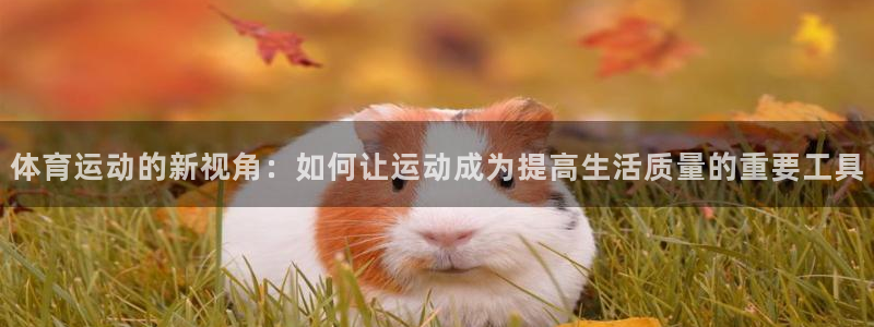 体育运动的新视角：如何让运动成为提高生活质量的重要工具