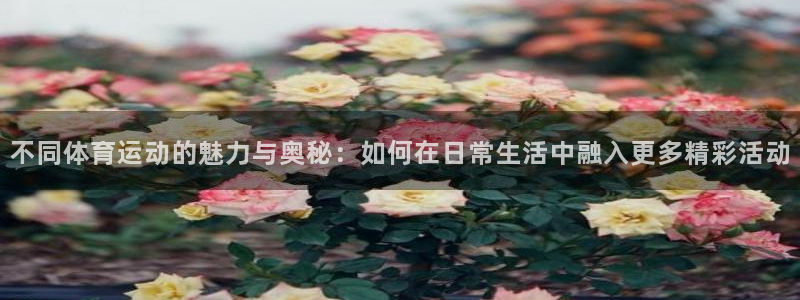 不同体育运动的魅力与奥秘：如何在日常生活中融入更多精彩活动