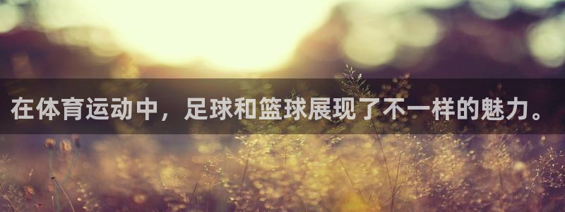 在体育运动中，足球和篮球展现了不一样的魅力。