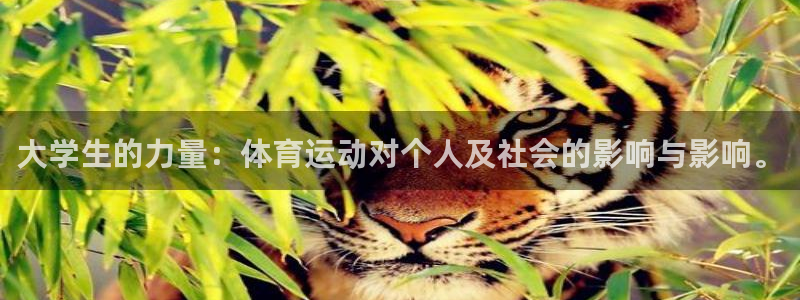 大学生的力量：体育运动对个人及社会的影响与影响。