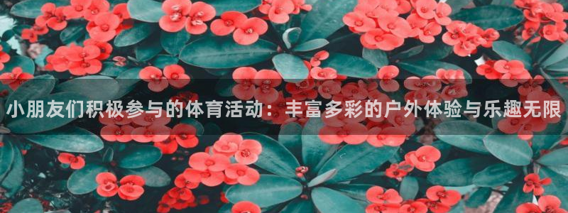 小朋友们积极参与的体育活动：丰富多彩的户外体验与乐趣无限
