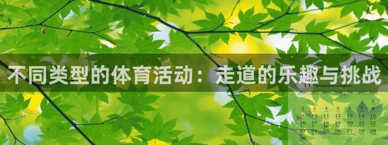 不同类型的体育活动：走道的乐趣与挑战