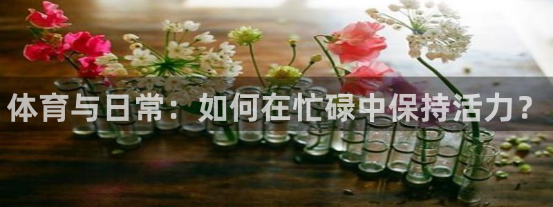 体育与日常：如何在忙碌中保持活力？