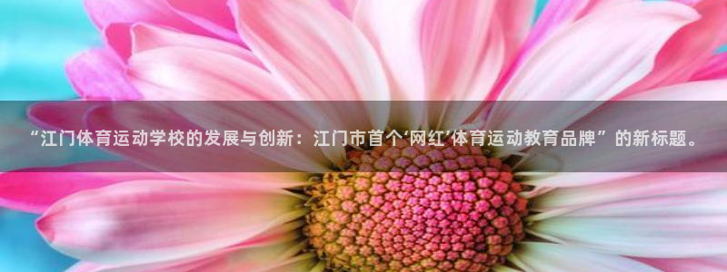 “江门体育运动学校的发展与创新：江门市首个‘网红’体育运动教育品牌”的新标题。