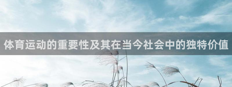 体育运动的重要性及其在当今社会中的独特价值