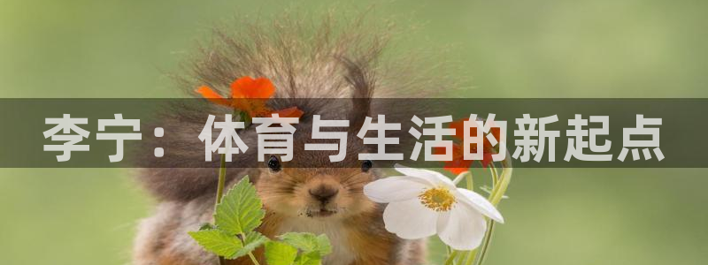 李宁：体育与生活的新起点