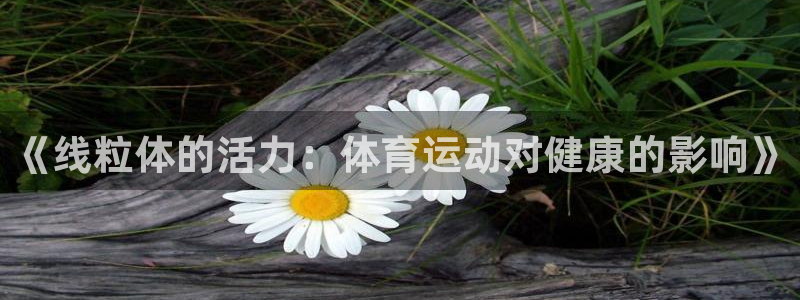 《线粒体的活力：体育运动对健康的影响》